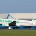 Transavia France Algérie