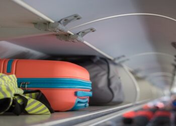 Conditions bagages Vols France Algérie