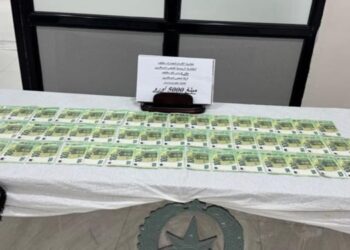 Saisies devises passagers en provenance de France