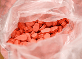 Ecstasy saisie véhicule en provenance du port Marseille